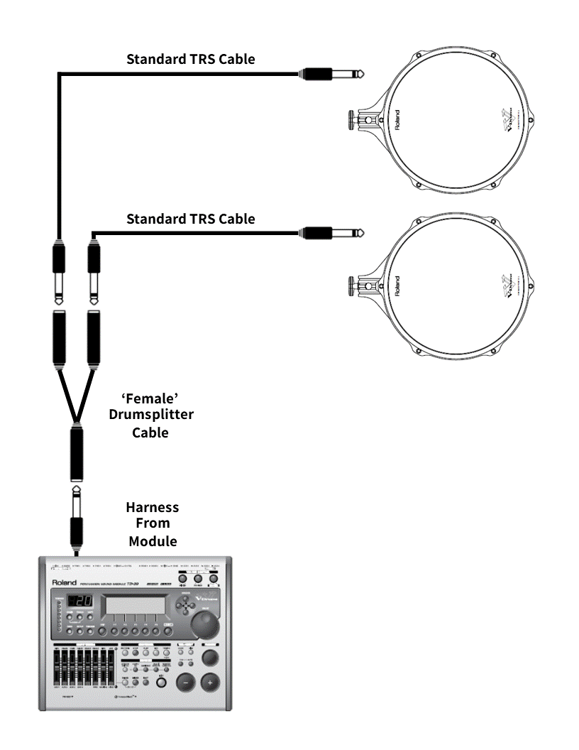 Diagram showing Female Drumsplitter Cable setup for Roland® E-Drums with standard TRS cables connected to the module.